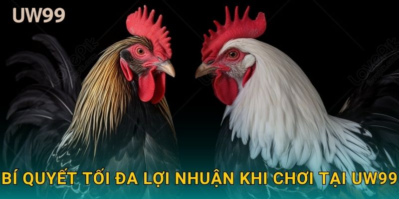 Bí quyết tối đa lợi nhuận khi chơi tại uw99