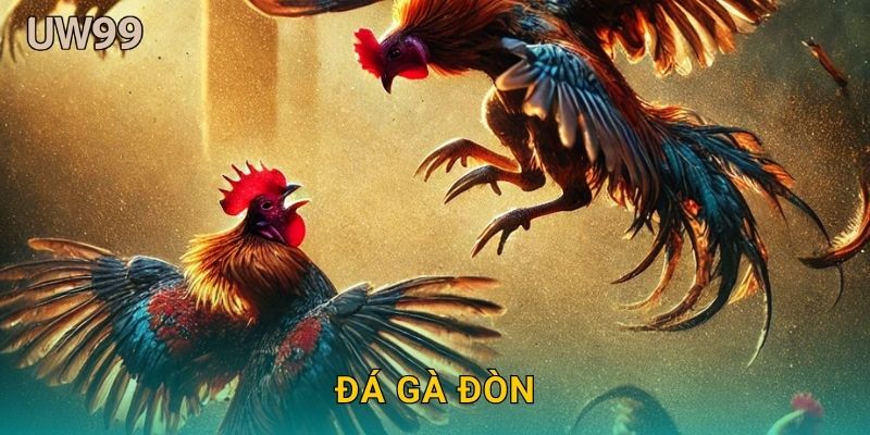 Đá gà đòn truyền thống – Cuộc chiến sức bền tại uw99