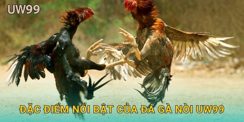 Đặc điểm nổi bật của Đá gà nòi uw99